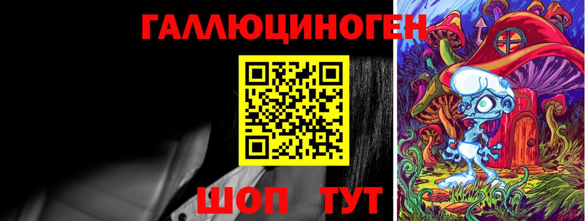 Псилоцибиновые грибы Cubensis Кыштым