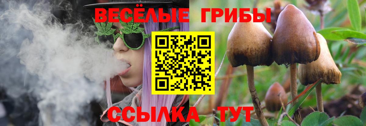 Галлюциногенные грибы мицелий  купить   Галлюциногенные грибы GOLDEN TEACHER  Кыштым  Вход с VPN 